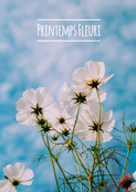 &Eacute;clat de fleurs sous un ciel bleu